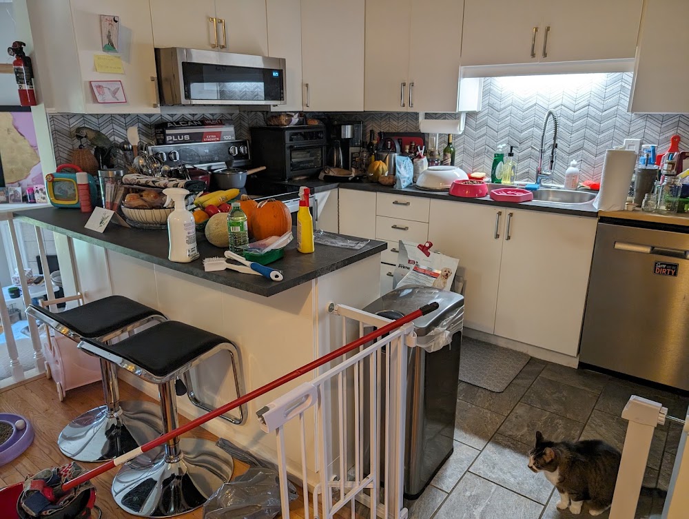 OMEGA: Cleaning & Organizing