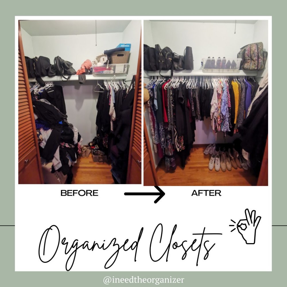 The Organizer
