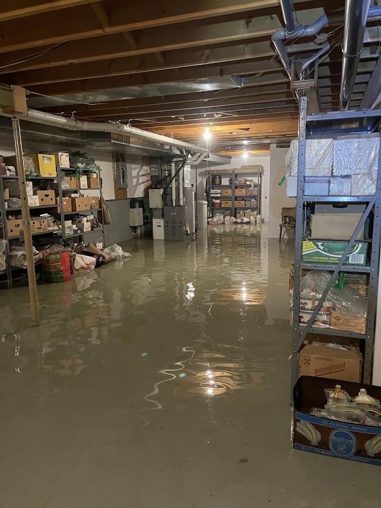 Toronto Hoarding and Disaster Solutions